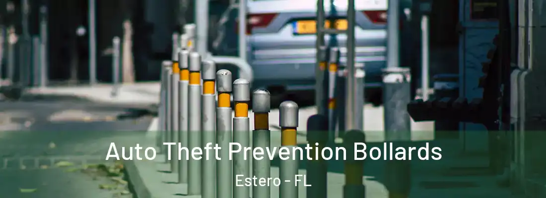  Auto Theft Prevention Bollards Estero - FL