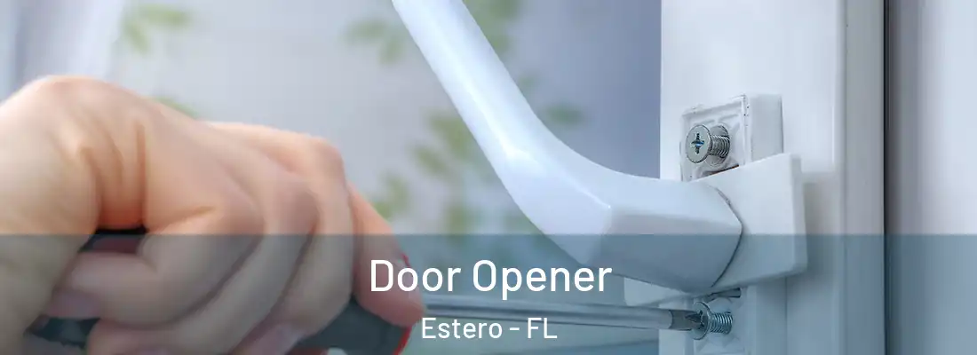  Door Opener Estero - FL