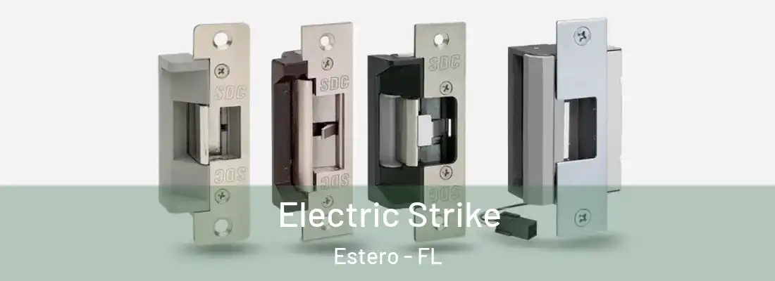  Electric Strike Estero - FL