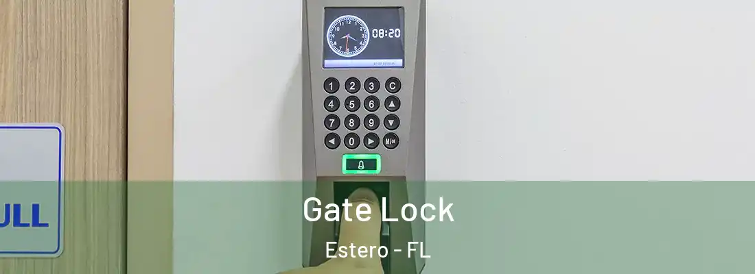  Gate Lock Estero - FL