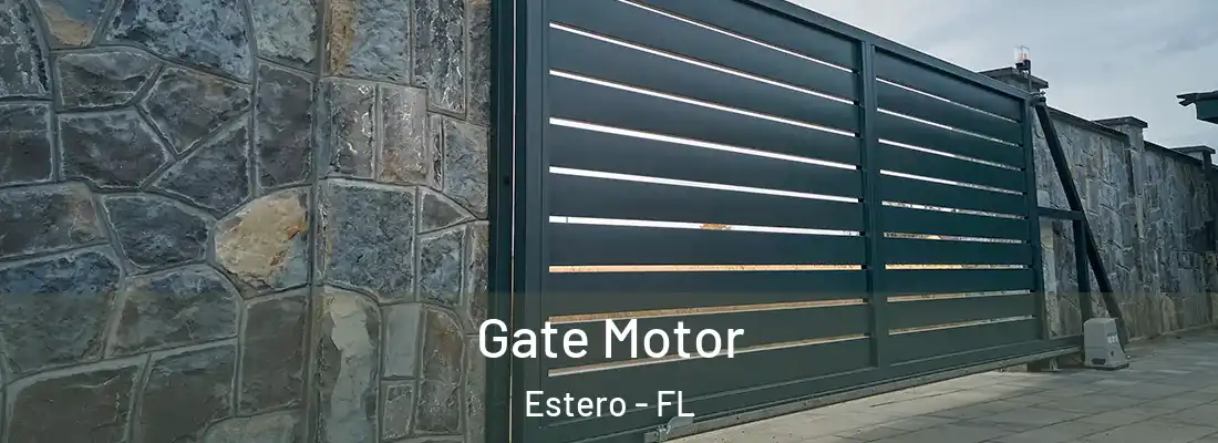  Gate Motor Estero - FL