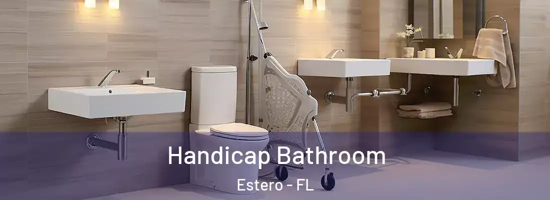  Handicap Bathroom Estero - FL
