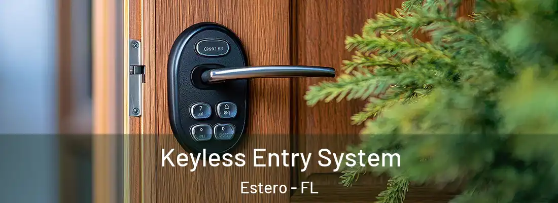  Keyless Entry System Estero - FL