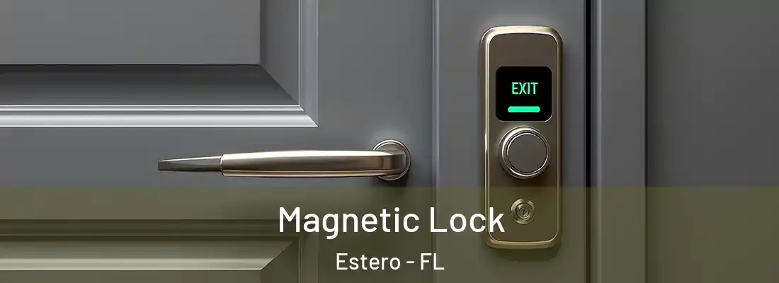  Magnetic Lock Estero - FL