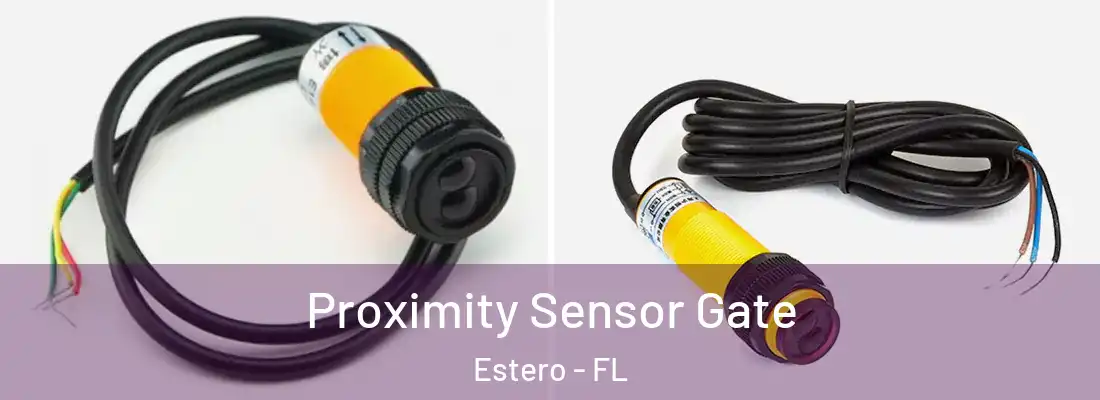  Proximity Sensor Gate Estero - FL